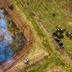 March 2020 (Shaker Village of Plesant Hill)